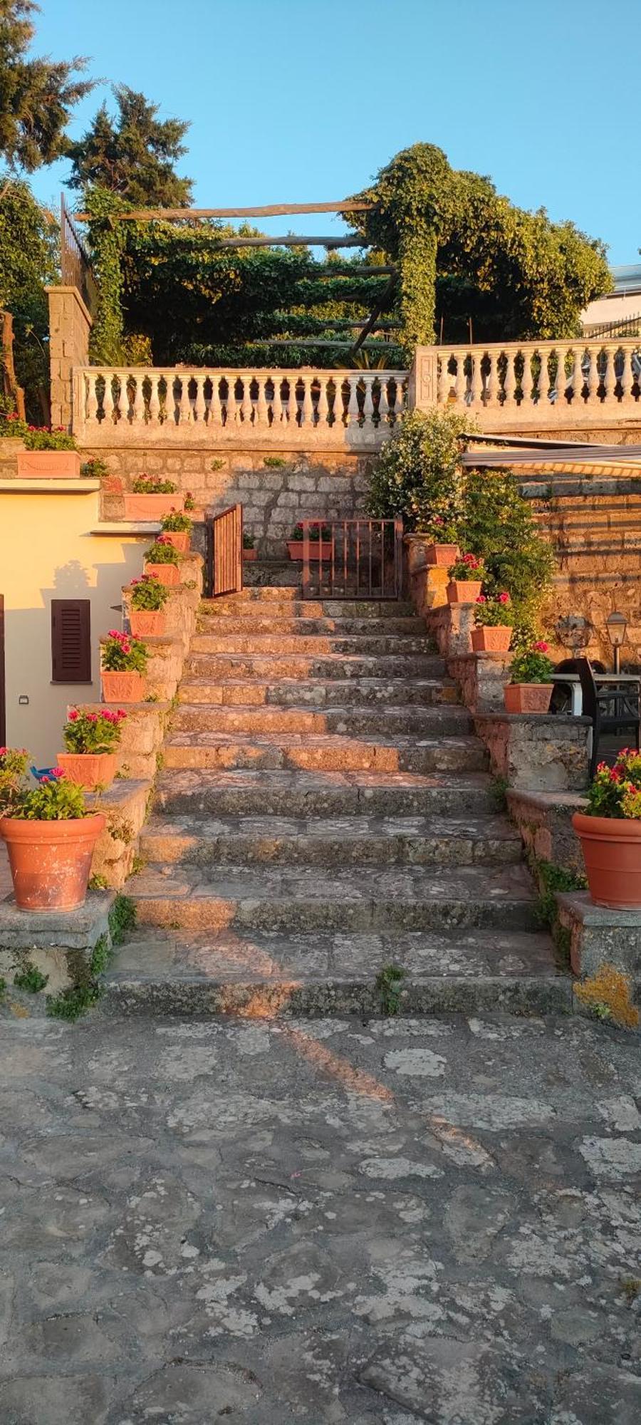 Villa Collywood Piano di Sorrento Exterior foto